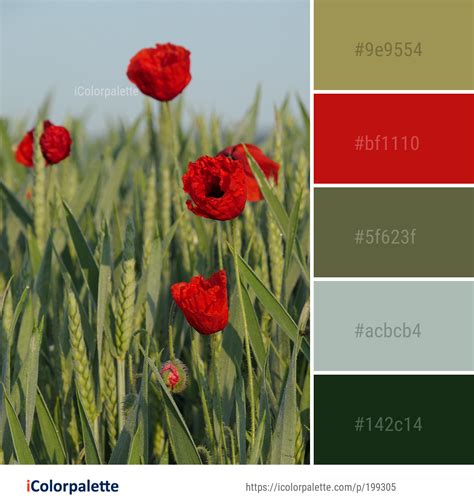 Color Palette Ideas From Flower Wildflower Field Image Icolorpalette