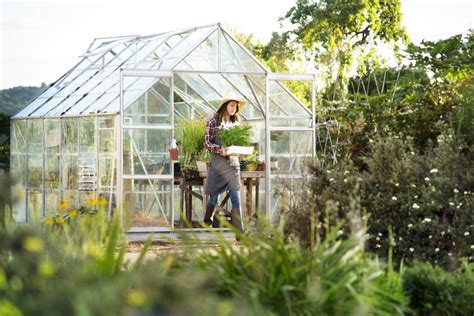 Types Of Backyard Greenhouses Hgtv