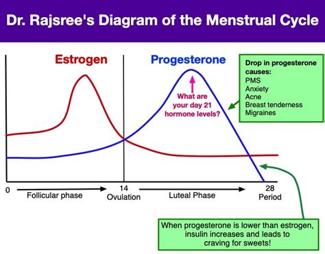 Hormone Balancing For Young Women • OC Integrative Medicine