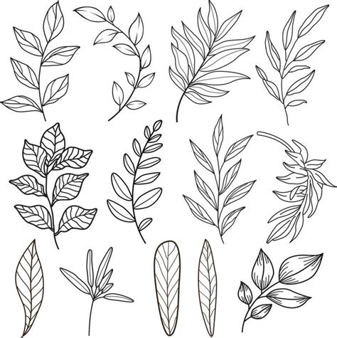 Download line drawing vector leaf.Abstract leaf Art design for print ...