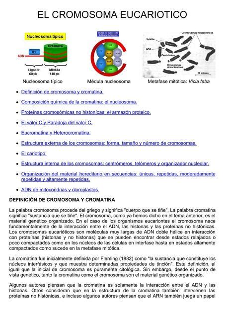 El Cromosoma Eucari Tico Andres Barbosa Udocz