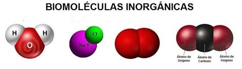 Biomoléculas inorgánicas Quiz