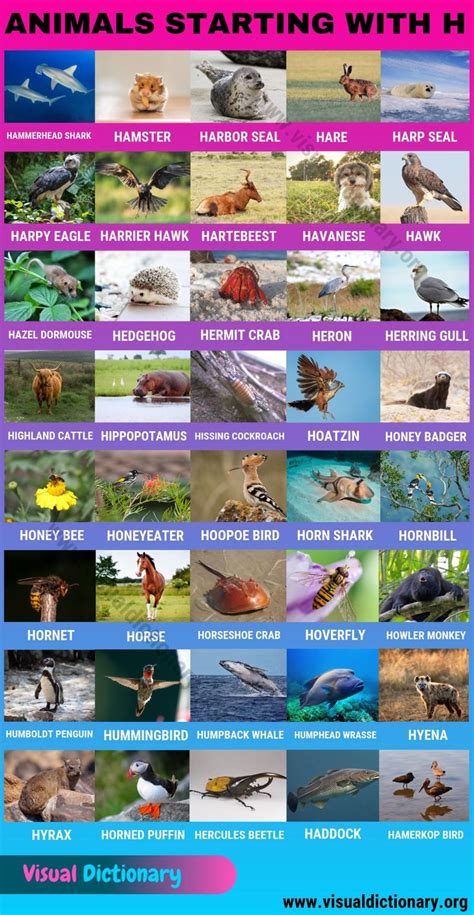 Tundra Biome Animals Names