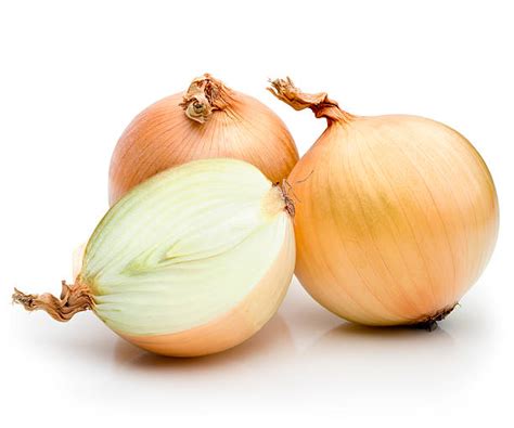 onion stock  pictures royalty  images istock
