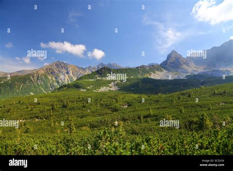 hala gasienicowa valley   res stock photography  images alamy