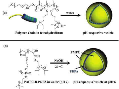 Formation Of Ph Responsive Polymersomes Adapted With Permission