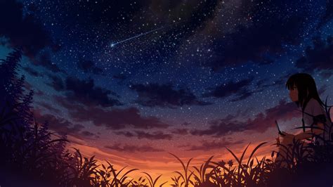 Anime Character Sitting On Grass During Nighttime Hd Wallpaper