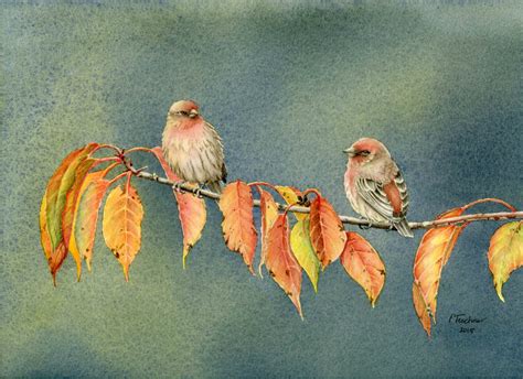 House Finch Watercolor Painting Giclee Print Of Original Etsy