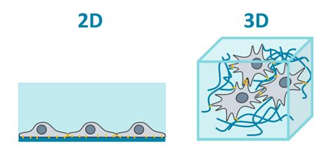cell cultivationinstitute  cell  tissue culture technologies