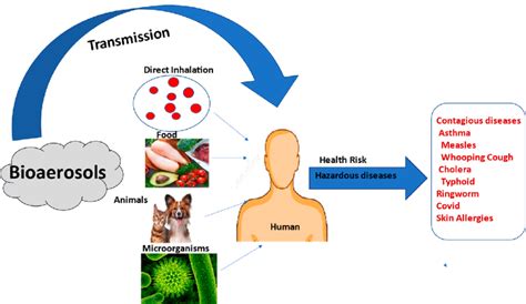 Transmission Of Bioaerosols In Humans Leads To Hazardous Diseases