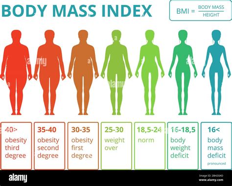 Infografías Médicas Con Ilustraciones Del índice De Masa Corporal