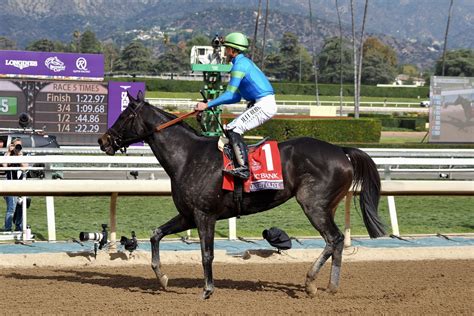 【bcフィリーandメアスプリント】池添謙一騎乗、メイケイエールは最下位グッドナイトオリーブがv競馬のおはなし Goo ニュース