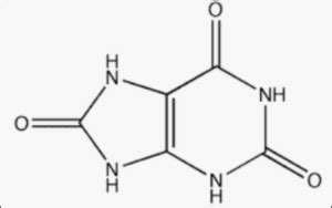 Uric Acid Formula - Properties and Biochemistry and Significance