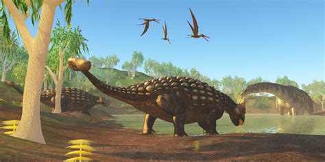 TimeRef History Timelines - Ankylosaurus