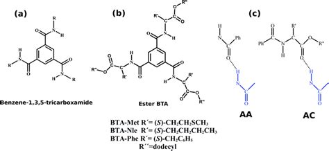 Understanding The Self Assembly Of Amino Ester Based Benzene 135