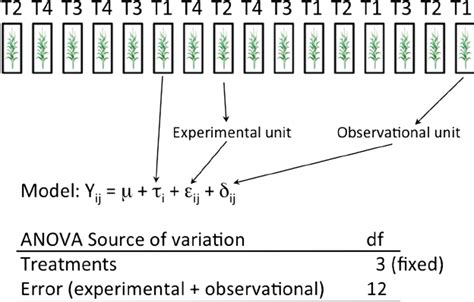 Design example 2: 16 plants are assigned to 16 experimental units, 4 of... | Download Scientific ...