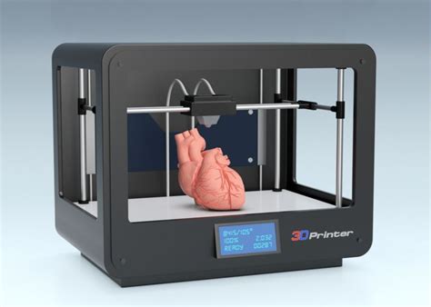 3D Bioprinting Is This The Future Of Organ Transplantation