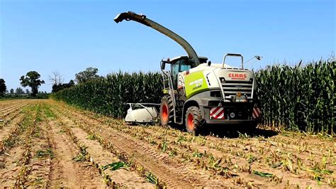 Trinciatura Mais Corn Silage Claas Jaguar Azienda