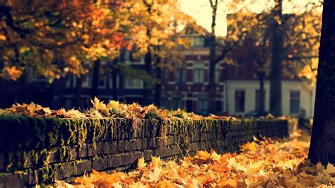 Autumn Town Wallpapers - Top Free Autumn Town Backgrounds - WallpaperAccess