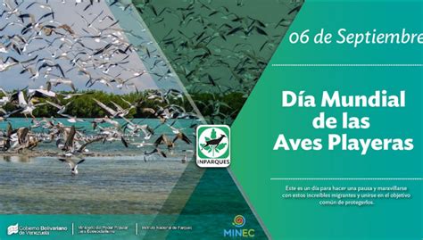 Hoy Se Celebra El D A Mundial De Las Aves Playeras Minec