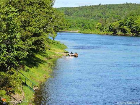 Miramichi River