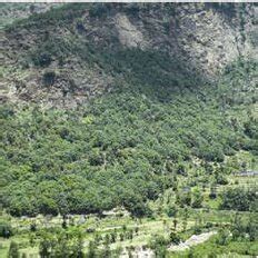 Sumaco Napo Galeras National Park Darkest Shaded Areas Established