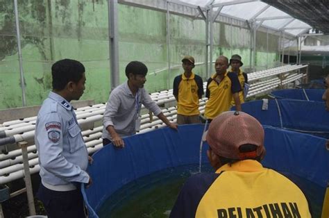 Pelatihan Ikan Air Tawar Sebagai Bekal Wbp Untuk Berbudidaya Ketika