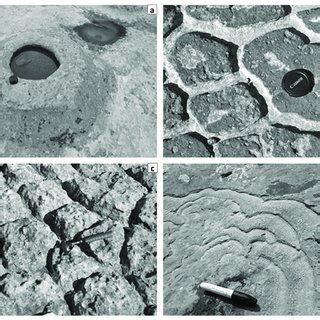 (a) A rock doughnut, (b) polygonal 'boxwork' structures, (c) convex ...