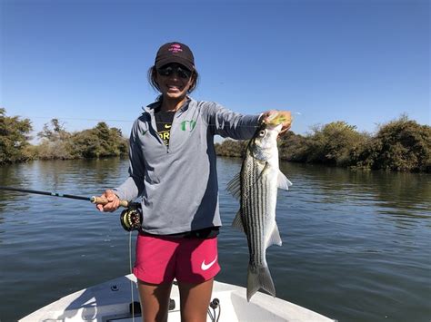 Sacramento Delta Striper Fishing | The Caddis Fly: Oregon Fly Fishing Blog