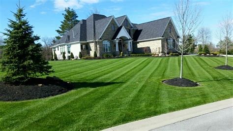 Keep Your Lawn Green This Summer With These Tips