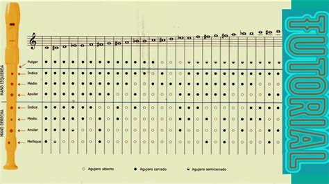 Como Tocar Todas Las Posturas En La Flauta Dulce Tutorial Video