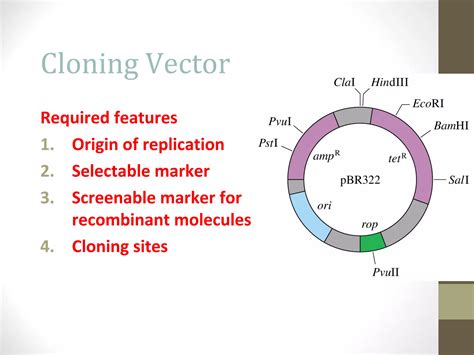 Recombinant Dna Technology Ppt