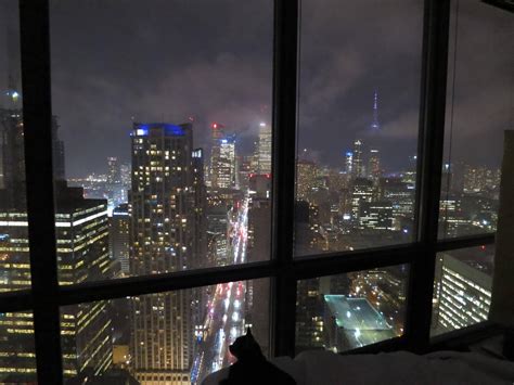 Toronto | Apartment view, City view apartment, Toronto condo