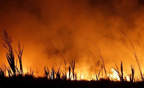 Alarma Argentina El Incendio En La Provincia De Corrientes Amenaza Al