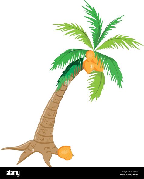 Coconut Tree Vector Illustration Stock Vector Image And Art Alamy