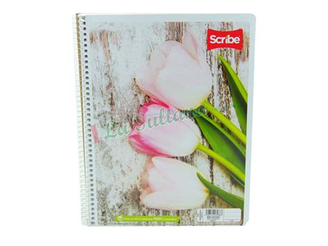 LIBRETA SCRIBE PROFESIONAL ESPIRAL MEGA PLUS C 100H PZ