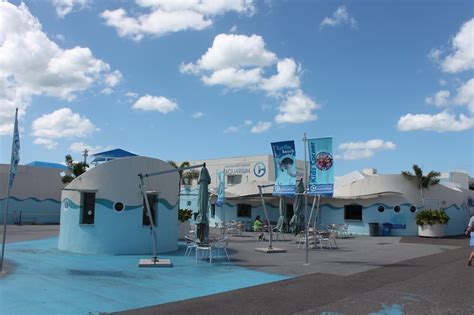 Tips For Visiting The Clearwater Marine Aquarium This Is My South