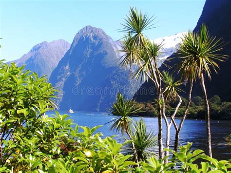 New Zealand fjords stock photo. Image of sound, zealand - 10981562