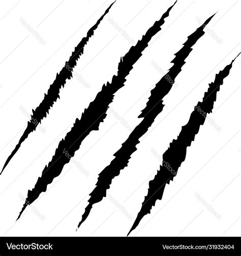 Claws scratch on white background design element Vector Image