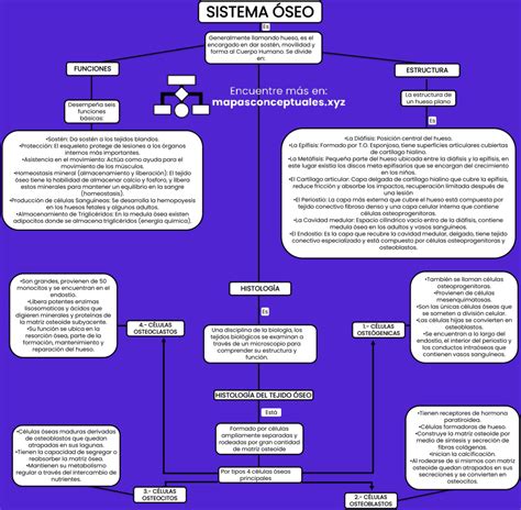 Mapas Conceptuales Del Sistema Seo Descargar