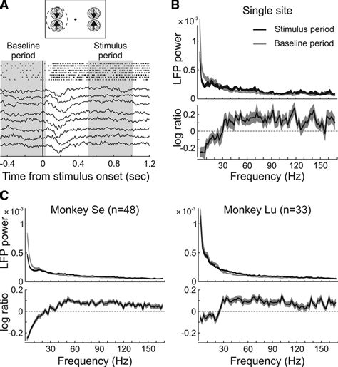 Lfp Analysis A Lfp Activity Traces Of Single Fixation Trials At An