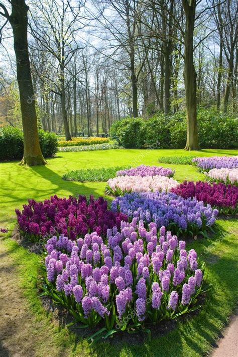 The keukenhof flower garden — Stock Photo © Buurserstraat38 #106474936