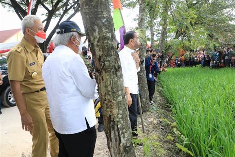 Presiden Kunjungi Grobogan Dan Blora Gak Mampir Pati Pak