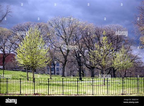 Crotona Park The Bronx Ny Usa Stock Photo Alamy