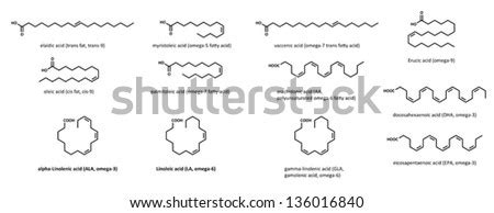 Unsaturated Fatty Acids Set Elaidic Myristoleic Stock Vector Royalty