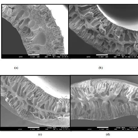 Fesem Images Of The Morphology For Pvdf Hfp Hollow Fiber Membranes