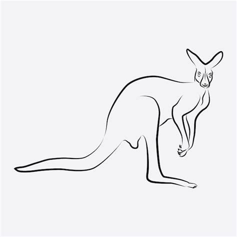 Premium Vector | Kangaroo animal line art