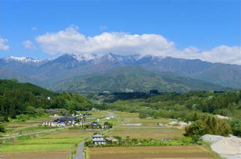 長野県飯島町、独自のワーケーションスタイルを目指し、田植え体験を開催｜旅先テレワーク実践ガイド 【公式】