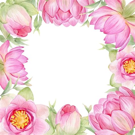 Rosa Blumen Lotus Aquarell Illustration Ein Rahmen Aus Lotusblumen