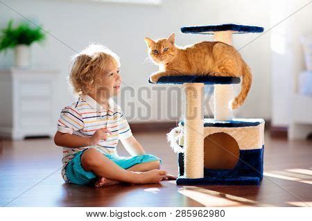 Child Playing Cat Home Image & Photo (Free Trial) | Bigstock